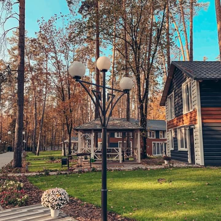 Вілла Клуб відпочинку Dacha Сокирна Екстер'єр фото